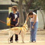 Os cachorros e seus donos invisíveis