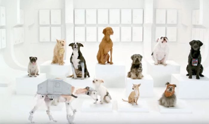Volkswagen coloca 11 cachorros para "cantar" a Marcha Imperial de Darth Vader