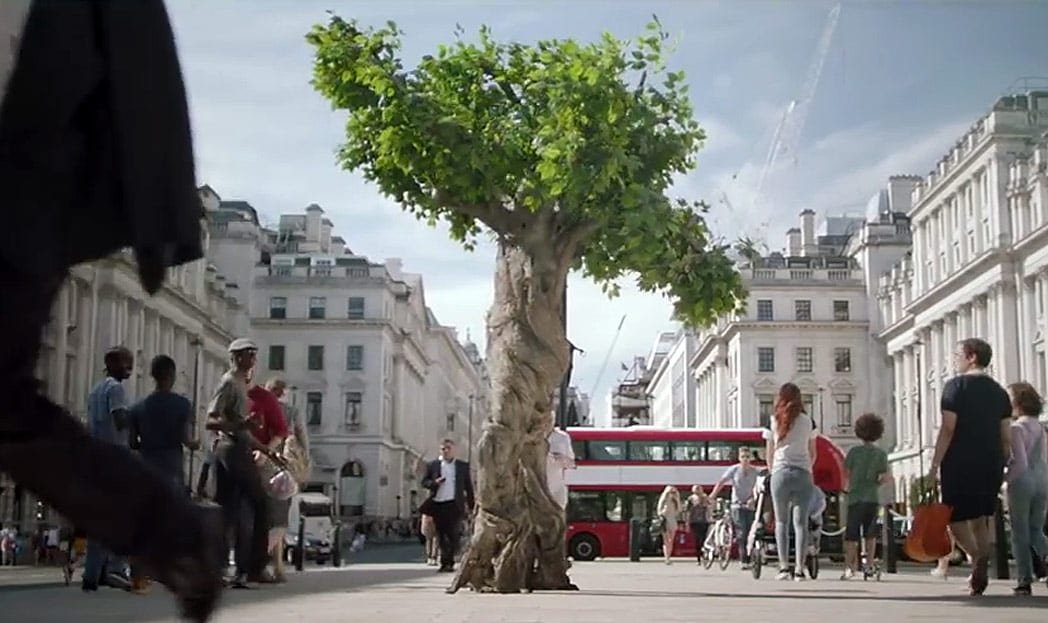 Árvore de 117 anos dá adeus à floresta em campanha da Unilever