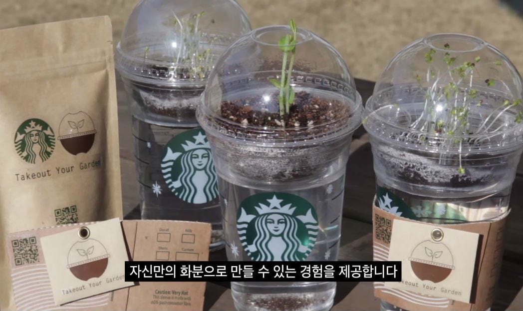 O seu café no Starbucks pode virar uma planta