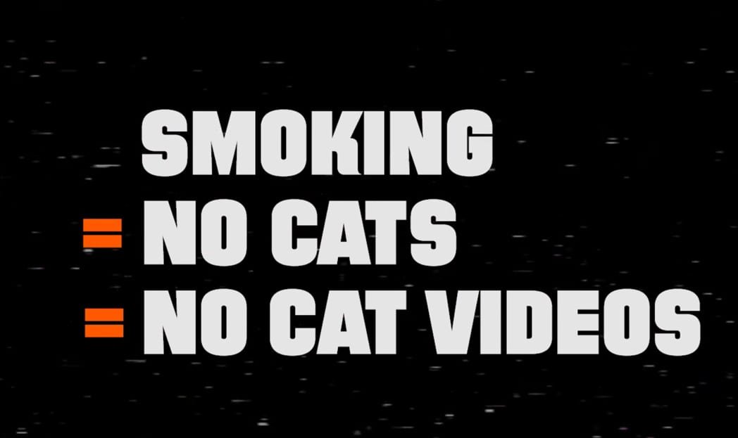 #CATmaggedon: Como seria uma internet sem gatos?