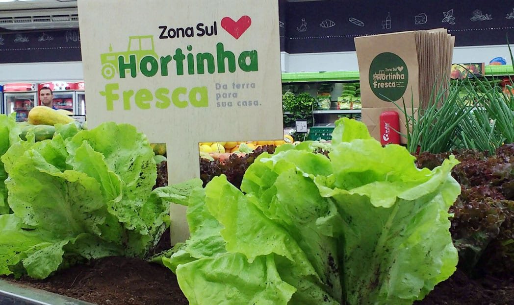 Supermercado transforma gôndolas de hortifrúti em hortas