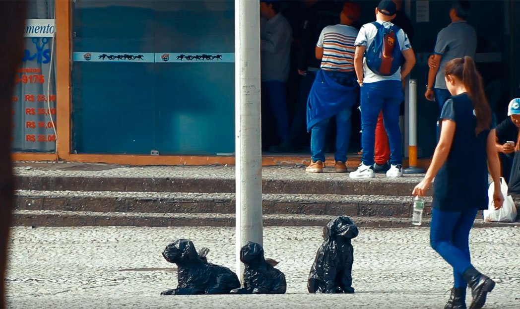 Cachorros feitos de sacos de lixo para alertar sobre o abandono de animais