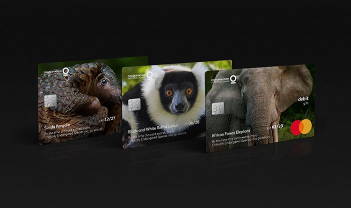 Mastercard e seus cartões que ajudam a preservar os animais em extinção